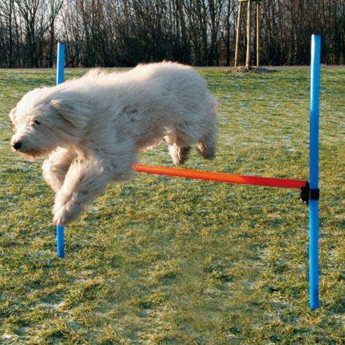 Trixie Agility Hurdle