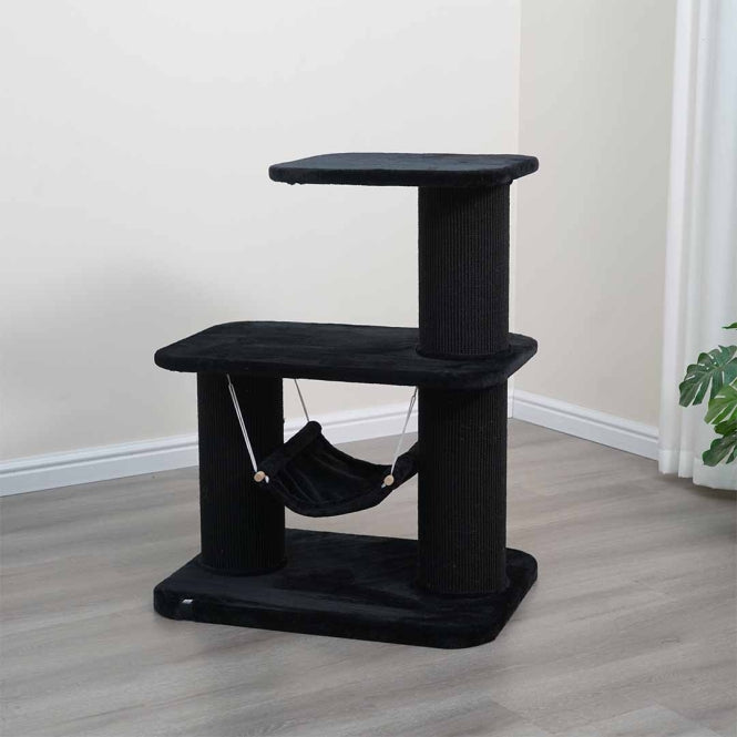 EBI cat tree Houston