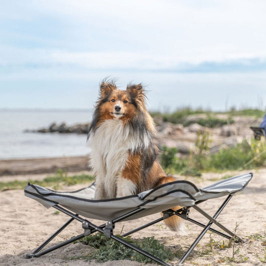 Trixie Camping Bed