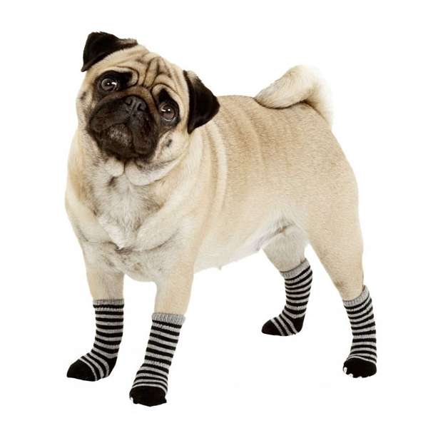 Karlie Doggy Socks Dog Socks 4-Pack - Black/Grey