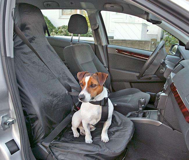 Trixie Jogger Conversion Kit for Dog Trailers