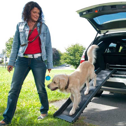 Karlie Flamingo Car Dog Ramp Gentle Step