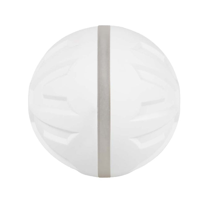 EBI Dog Toy Boogie Ball