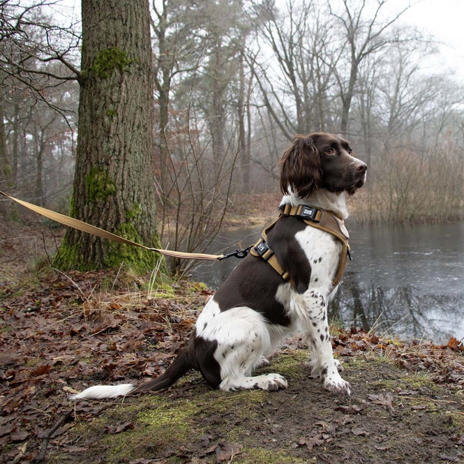 Duvoplus EXPLOR Ultimate Fit No-Pull Harness - honey gold