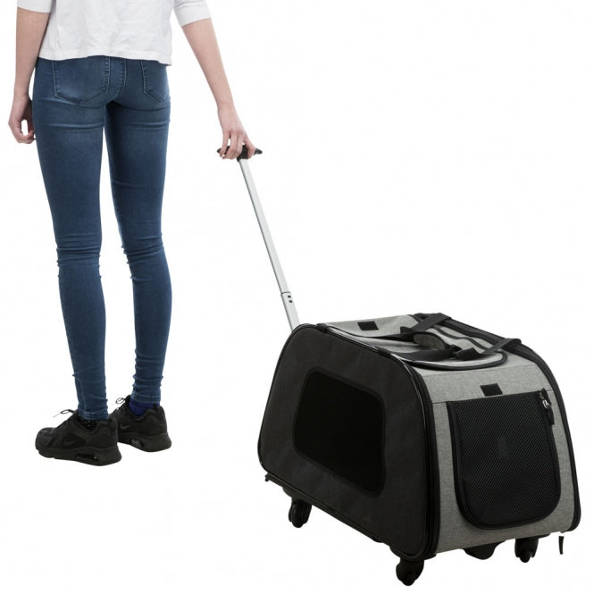 Trixie trolley with removable chassis