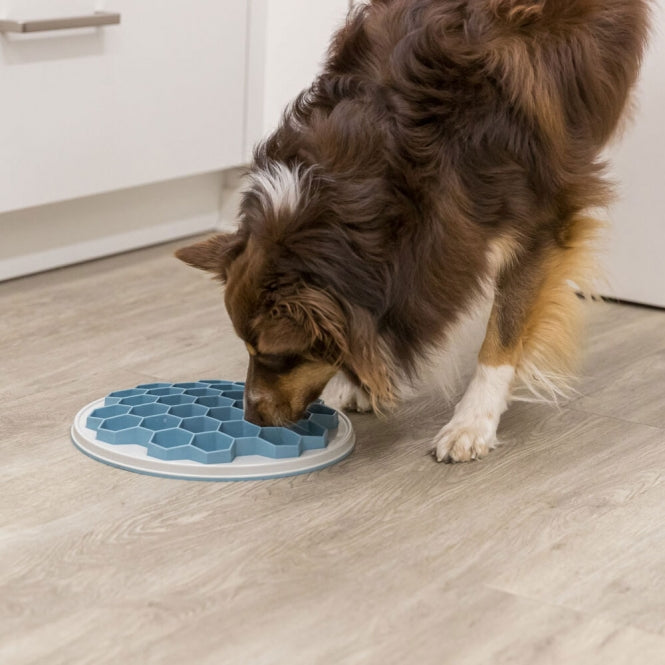 Trixie Slow Feeding Feeding Plate Hive
