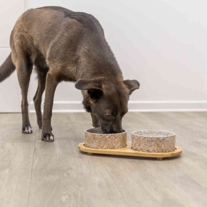 Trixie bowl set, ceramic/bamboo